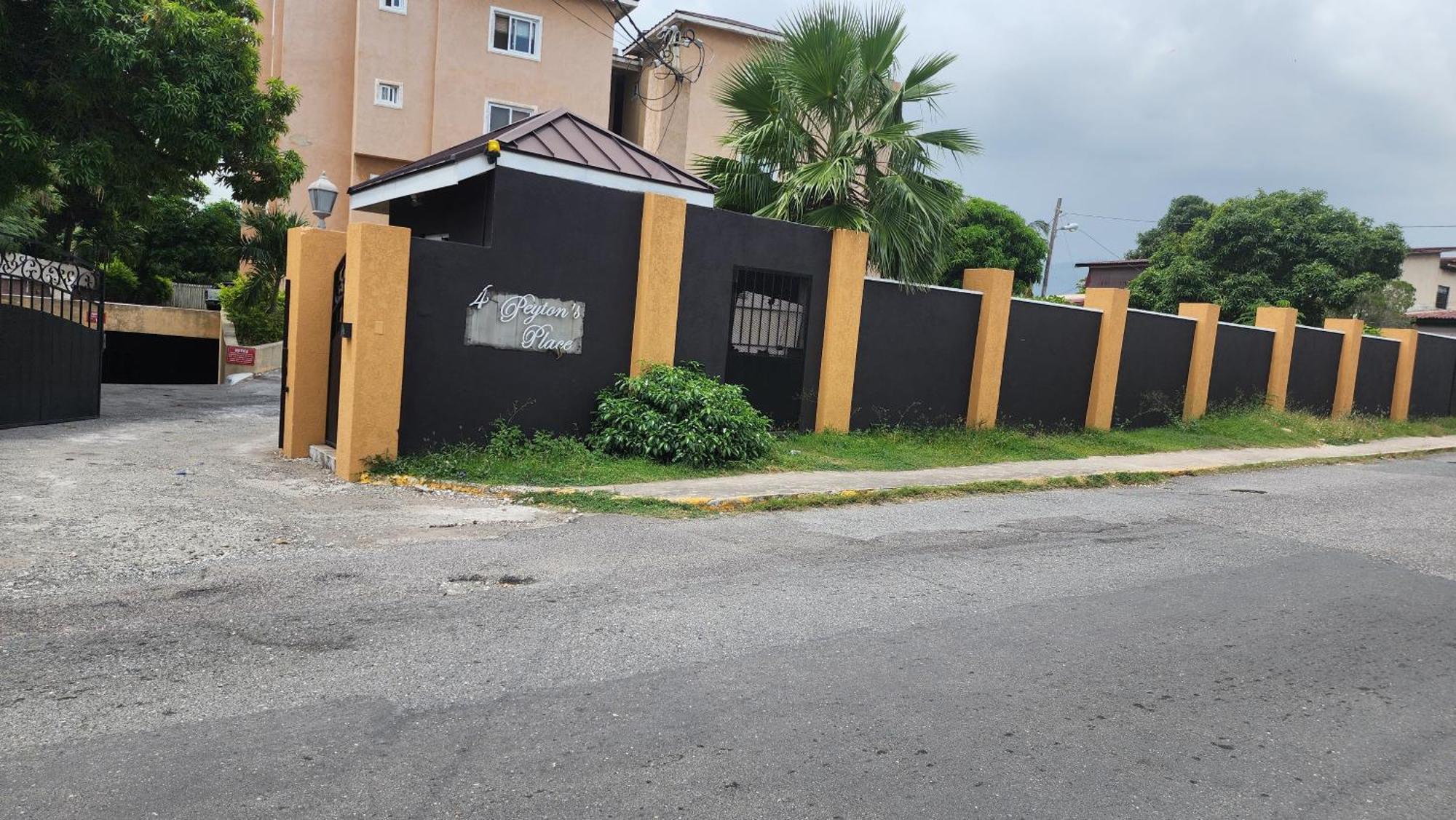 Central Upscale New Kingston Apt With Pool Exterior foto